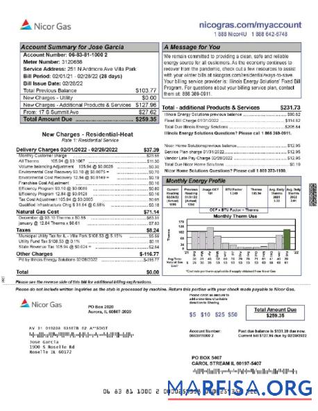 Downloadable USA NICOR GAS utility bill Word and PDF template